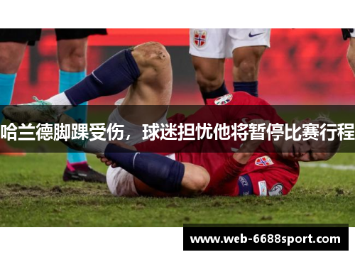 哈兰德脚踝受伤，球迷担忧他将暂停比赛行程