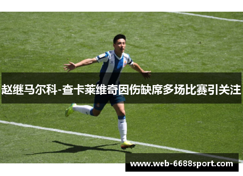赵继马尔科-查卡莱维奇因伤缺席多场比赛引关注