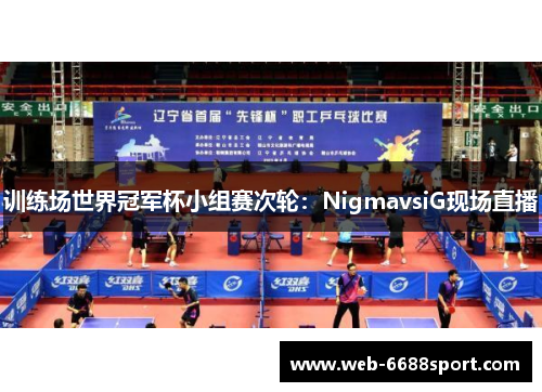 训练场世界冠军杯小组赛次轮：NigmavsiG现场直播