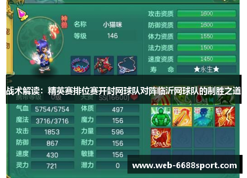 战术解读：精英赛排位赛开封网球队对阵临沂网球队的制胜之道